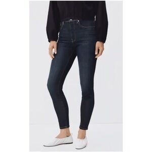 Everlane Authentic Stretch High Rise Skinny Jeans